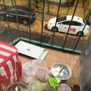 피아노공방 | 폴란드 여행 꼭 해야할 것 바르샤바 쇼팽 피아노 연주회 추천