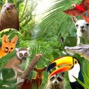 금은파크 이미지