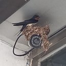 SUN공인중개사사무소 이미지