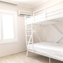 서귀포미친게스트하우스파티 이미지