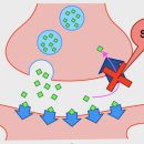 우리정신건강의학과의원 이미지