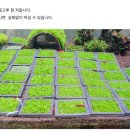 디스월드랩 - 중구 대종로 487 | 디스월드랩