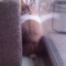 구석탱이 이미지