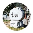 [힐🏞링] : 남양주 『물의 정원』 노랑 코스모스 이미지