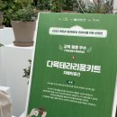 자매다육
