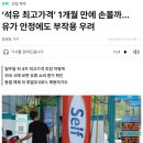 서울회생법원전임회생위원
