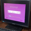 서일어학원 이미지