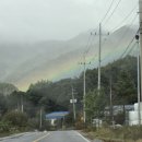 브루누벨 이미지