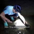 안면하우스 이미지