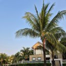 마트타운 이미지