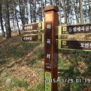 이곡 목장 Daum카페