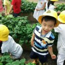 신애유치원 이미지