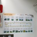 문화 비상-6호 이미지