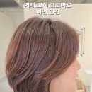코코마르 네이버블로그