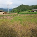 양지-3301 이미지