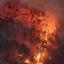 파천면사무소 이미지