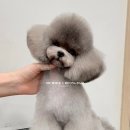 멈미스 이미지