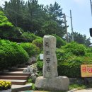 죽도공원 Daum카페