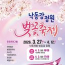 낙동제방 자전거도로 | 삼락생태공원 낙동제방벚꽃길 낙동강정원 벚꽃축제 ~