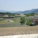 무주읍219 이미지