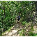 기양1리 이미지