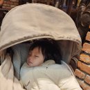 정아과일 네이버블로그