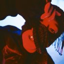 더블와이피