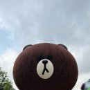 브라운보니