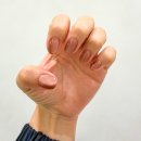 끌림 동물병원 | 울산 삼산동 네일 가을 자석젤 가성비 네일샵 네일더끌림