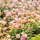 도당동 행정복지센터 이미지