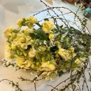 (주) 내츄럴파머스 | 어니스트 플라워 플로리스트픽 플로픽 내츄럴 정기구독 내돈내산 추천인 초대 코드 퀘스트장미3248