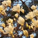 (용담)충혼탑 이미지