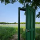 도고목장 이미지