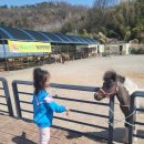 말순농장 | 전주 인근 완주 말순농장 - 아이들과 가기 좋은 작은 말농장 후기 (내돈내산)