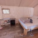 자일랜드 이미지