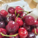 올해 처음 체리 🍒 먹어요~^^ 이미지