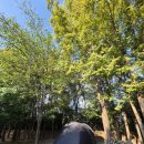 경주더숲관광농원 | 경북 경주시 단풍이 예쁜 무릉관광농원 캠핑장