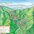 잣나무향기 이미지