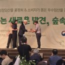 편백림 이미지