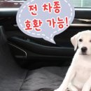 최종주동물병원 이미지