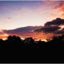 해뜰무렵 이미지