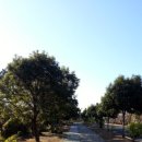 두레빌라 앞 이미지