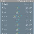 멕시칸치킨