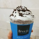 애니브리즈 이미지