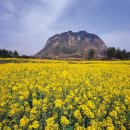 민속마을농수산