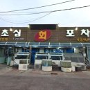 초심회포차