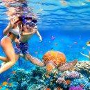 크린스피드 | 푸켓에서 꼭 가봐야 할 스노클링 명소 BEST 6