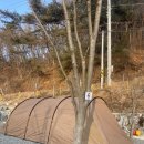 [캠핑] 천안 광덕 신생 캠핑장 &#39;요새불멍&#39; 2박 3일 오토캠핑 후기!