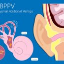 성이비인후과의원 이미지