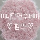 뜨개요정 이미지